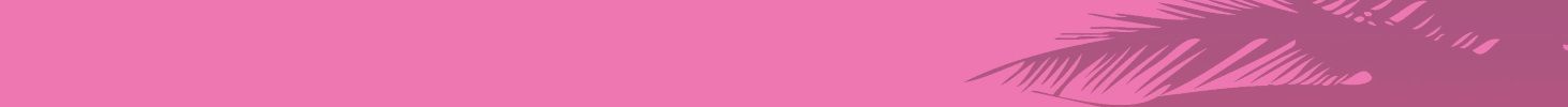 Grand Theft Auto Vice City Widescreen Fix